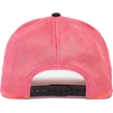 curva-snapback-the-farm-goorin-bros