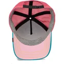 curva-snapback-the-farm-goorin-bros
