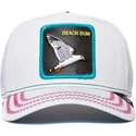 curva-snapback-the-farm-goorin-bros
