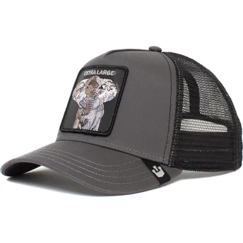 curva-snapback-the-farm-goorin-bros