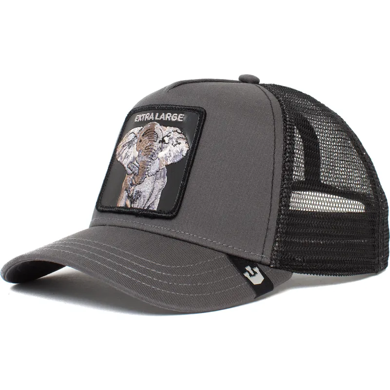curva-snapback-the-farm-goorin-bros