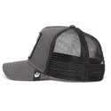 curva-snapback-the-farm-goorin-bros