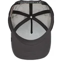 curva-snapback-the-farm-goorin-bros