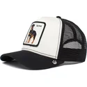 curva-snapback-the-farm-goorin-bros