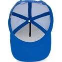 curva-snapback-the-farm-goorin-bros
