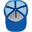 curva-snapback-the-farm-goorin-bros