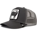 curva-snapback-the-farm-goorin-bros