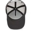 curva-snapback-the-farm-goorin-bros