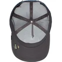 curva-snapback-the-farm-goorin-bros