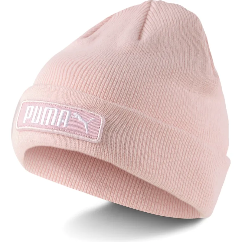 puma puma