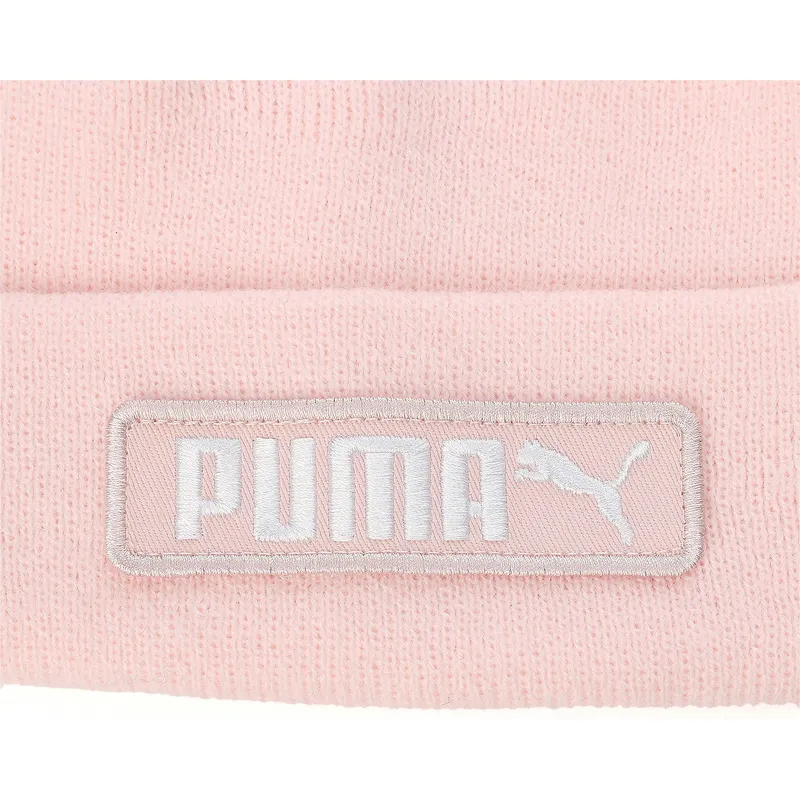puma puma
