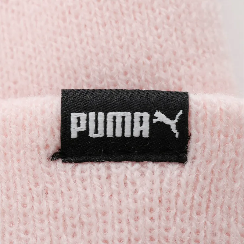 puma puma
