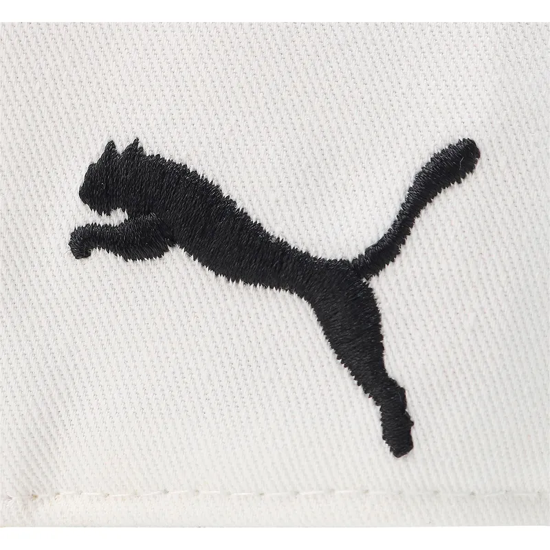 curva-puma
