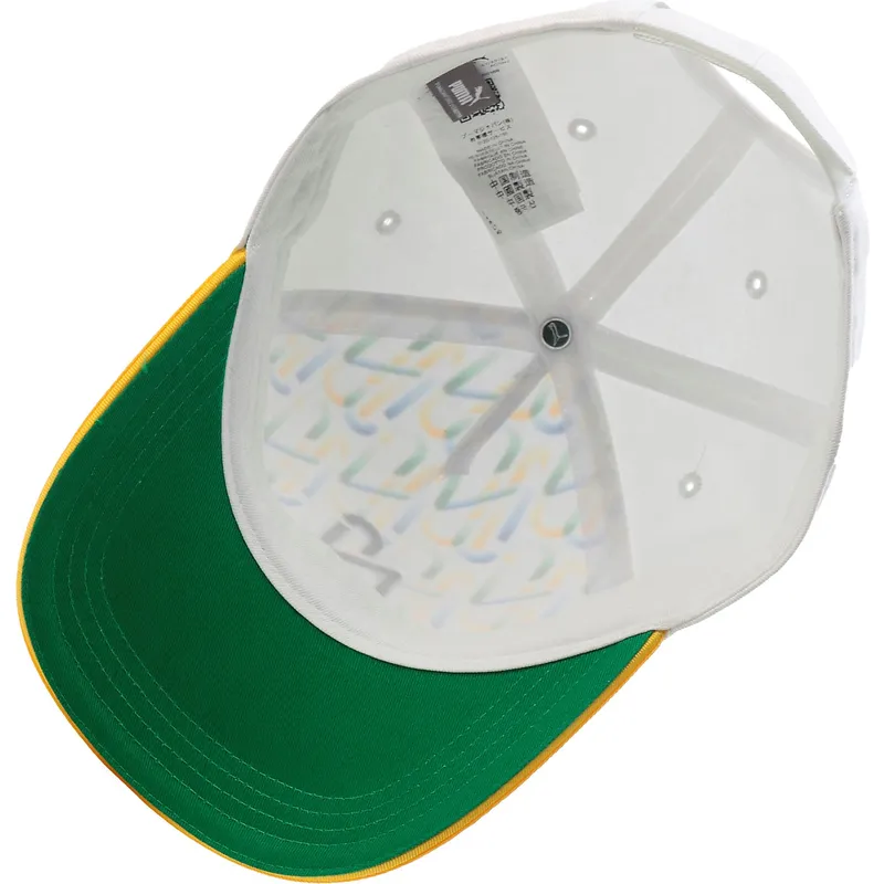curva-puma