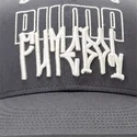 plana-snapback-puma