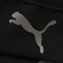 running-puma
