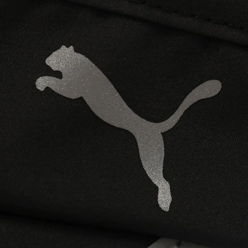 curva-puma curva-puma
