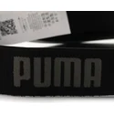 running-puma