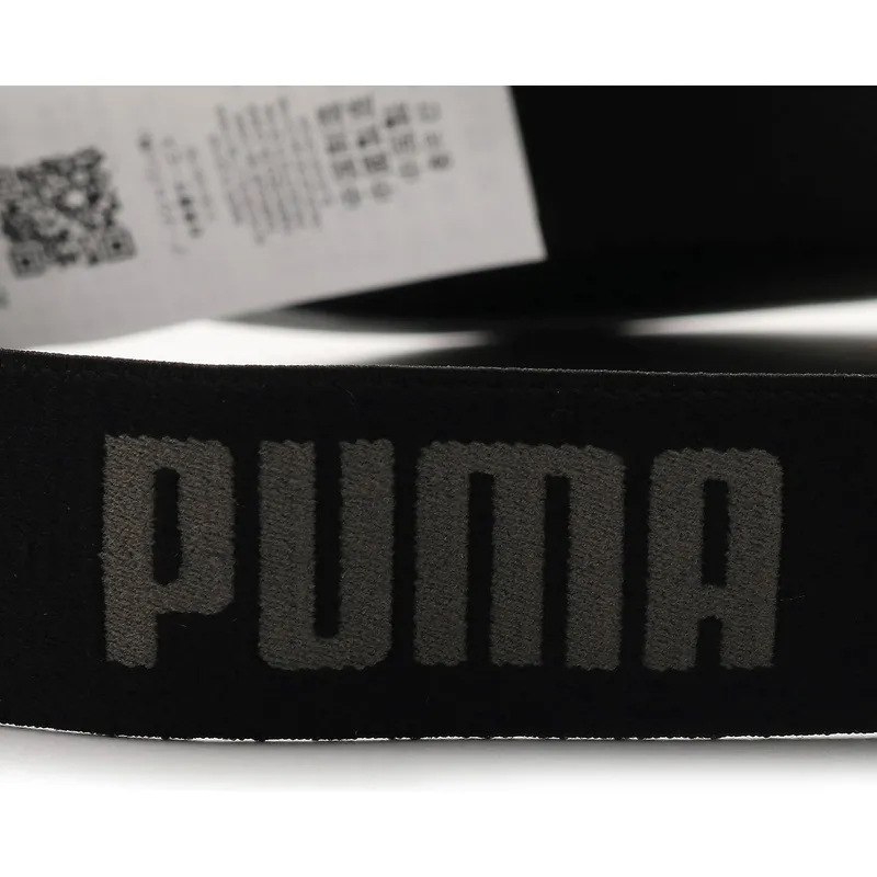 curva-puma curva-puma