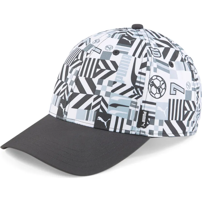 curva-puma