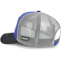 curva-snapback-nasa-capslab