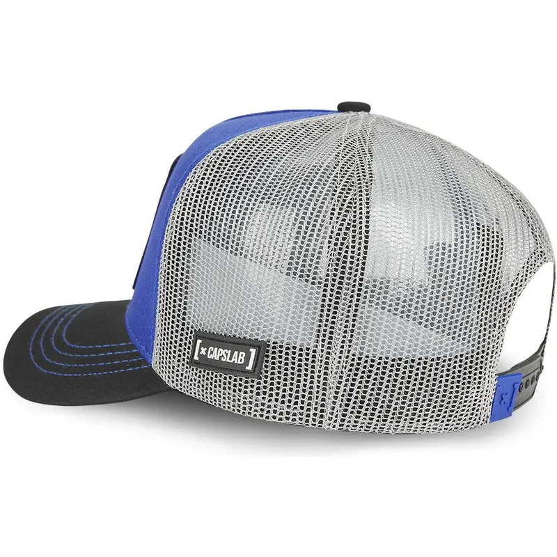 curva-snapback-nasa-capslab