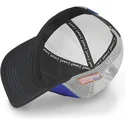 curva-snapback-nasa-capslab