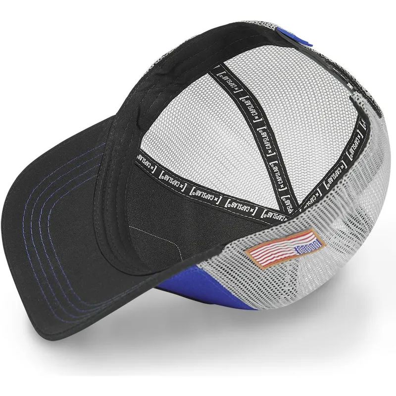 curva-snapback-nasa-capslab