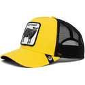 curva-snapback-the-farm-goorin-bros
