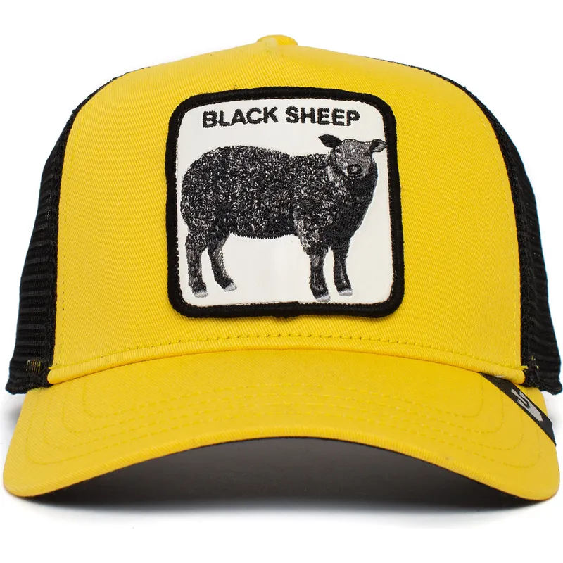 curva-snapback-the-farm-goorin-bros