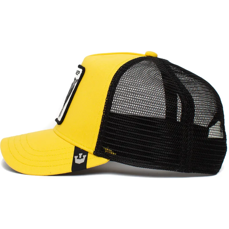 curva-snapback-the-farm-goorin-bros