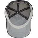 curva-snapback-the-farm-goorin-bros