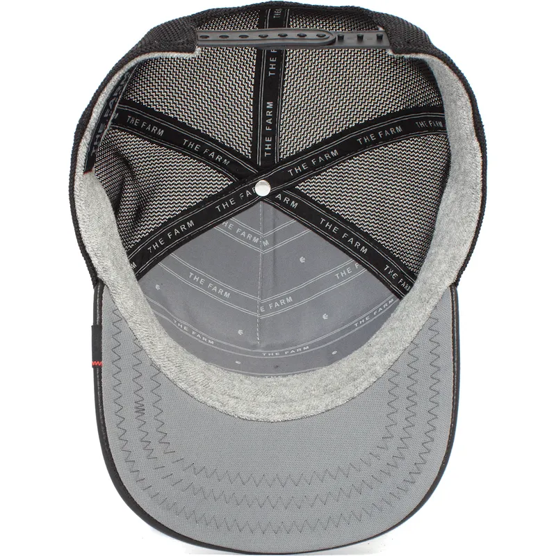 curva-snapback-the-farm-goorin-bros