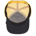 curva-snapback-the-farm-goorin-bros