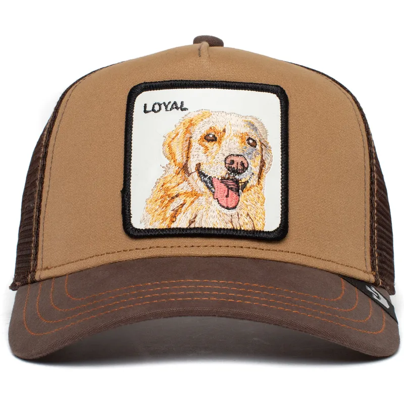 trucker-labrador-retriever-the-loyal-dog-the-farm-goorin-bros