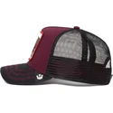 curva-snapback-the-farm-goorin-bros