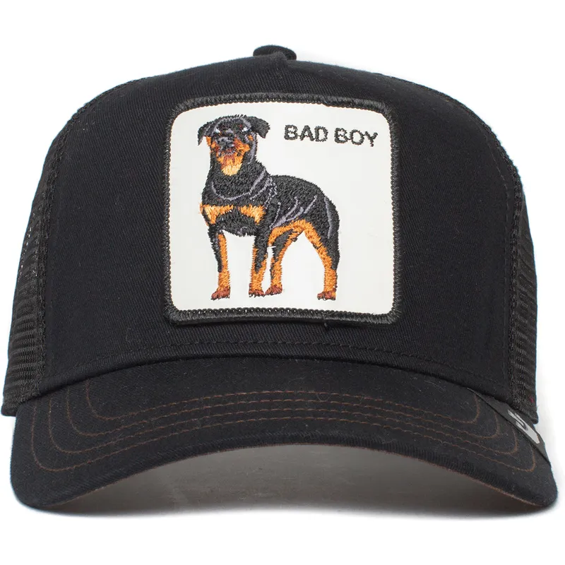 curva-snapback-the-farm-goorin-bros
