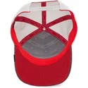 curva-snapback-the-farm-goorin-bros