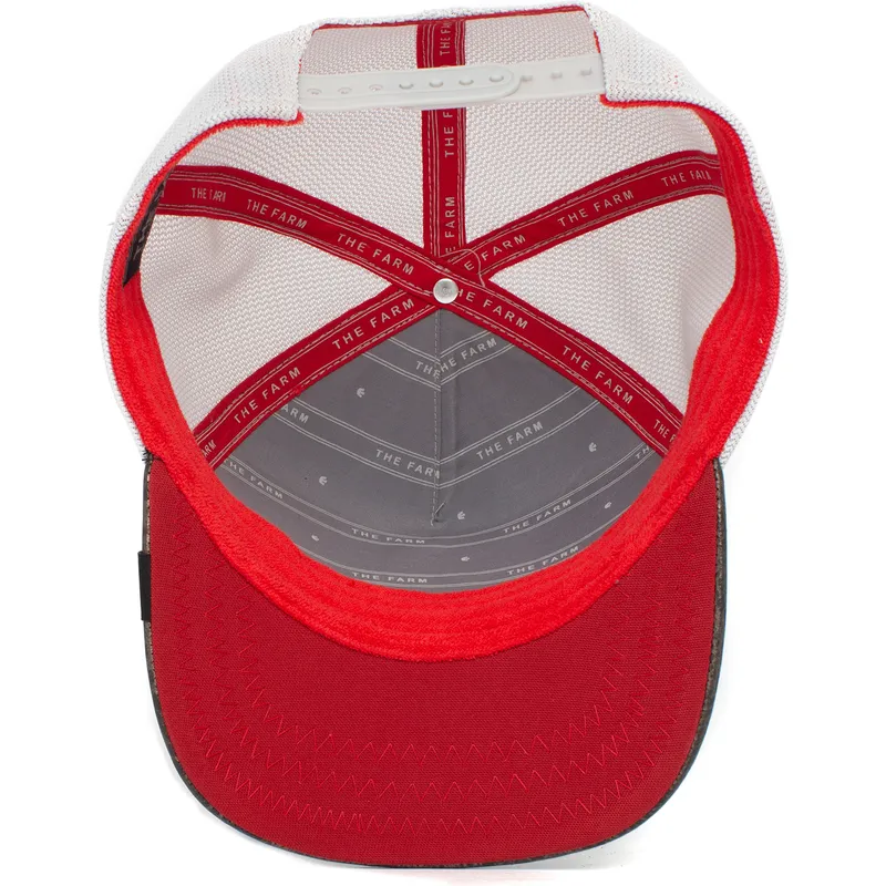curva-snapback-the-farm-goorin-bros