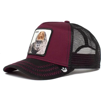 curva-snapback-the-farm-goorin-bros