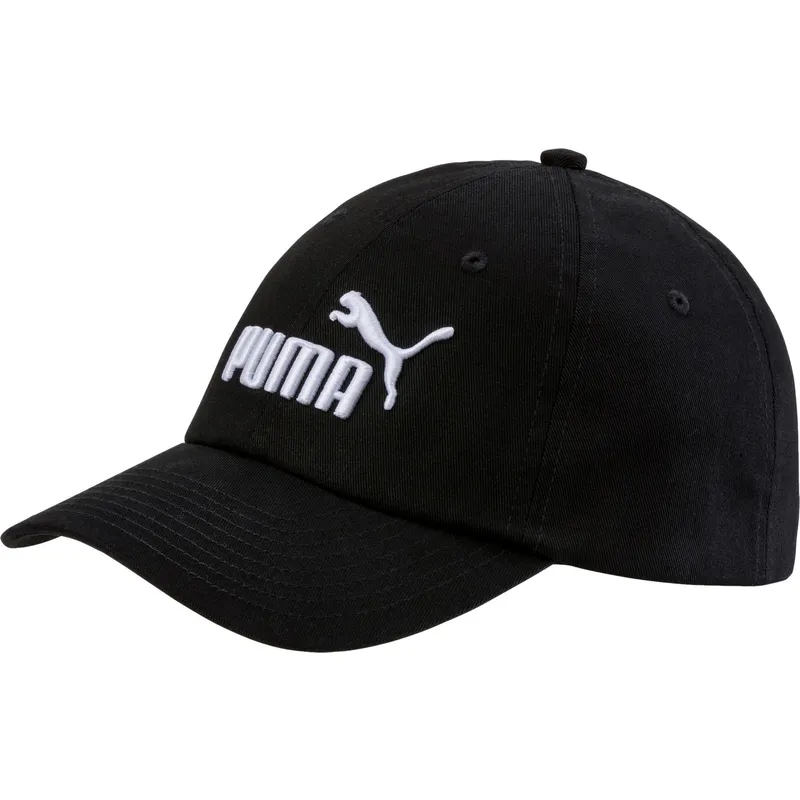 curva-puma