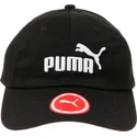 curva-puma