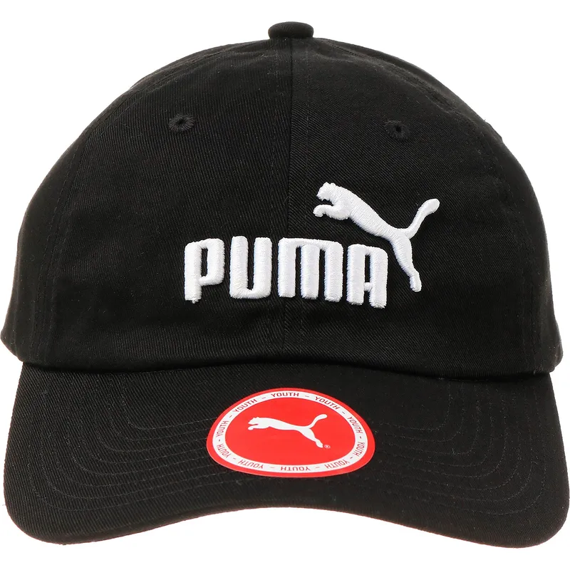 curva-puma