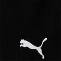 liga-puma