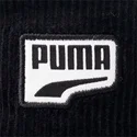 prime-dt-puma