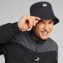 prime-dt-puma