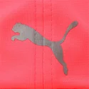 running-puma