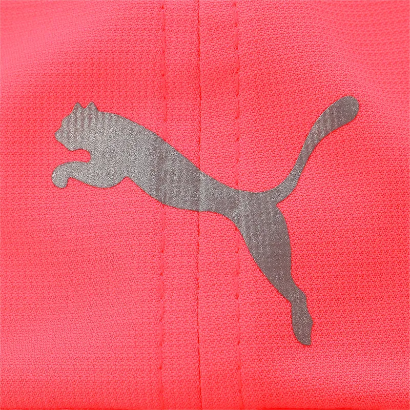 curva-puma curva-puma