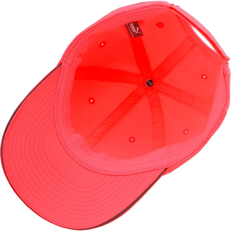 curva-puma curva-puma
