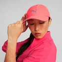 running-puma